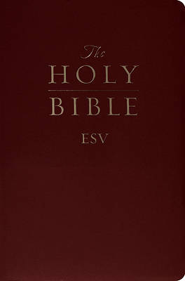 Picture of Gift and Award Bible