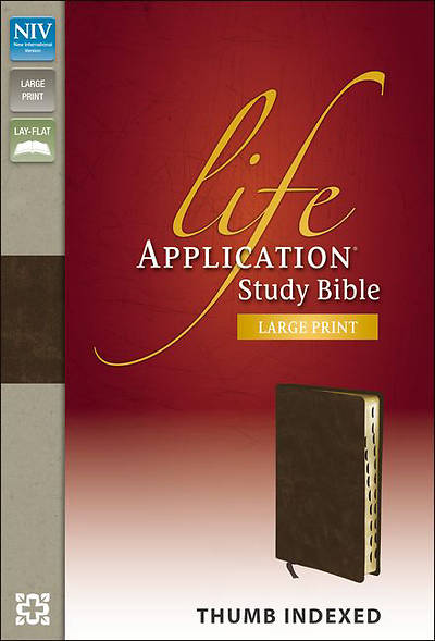Picture of NIV Life Application Study Bible - Large Print