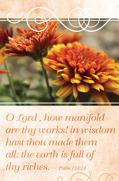 Picture of Earth is Full General Regular Size Bulletin