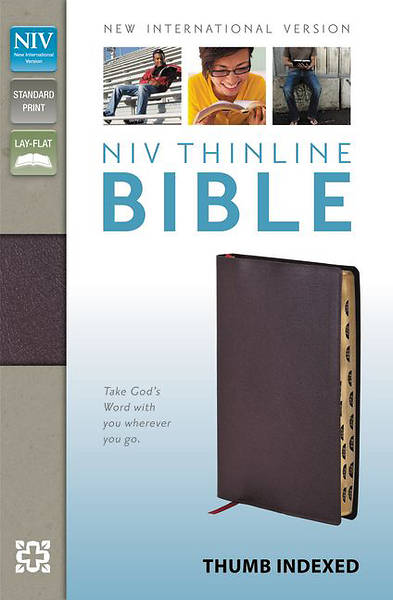 Picture of NIV Thinline Bible