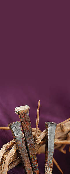 Picture of He Was Pierced Pulpit Scarf