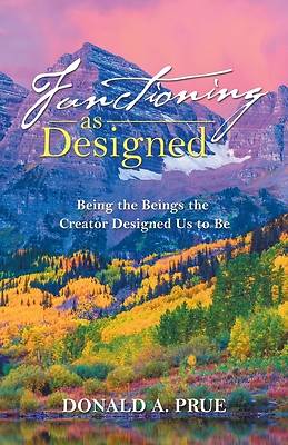 Picture of Functioning as Designed