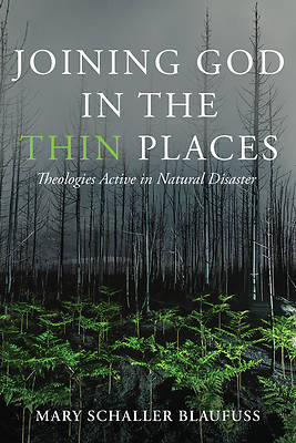 Picture of Joining God in the Thin Places