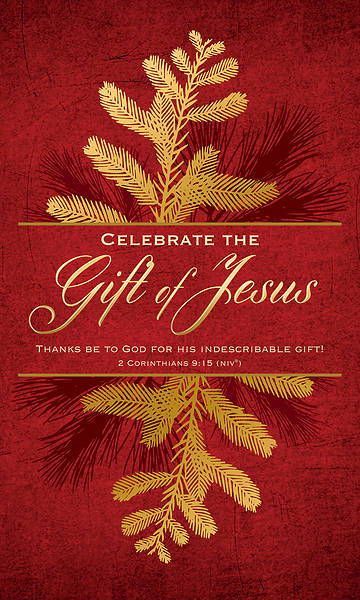 Picture of Celebrate the Gift of Jesus Christmas 3' X 5' Fabric Banner