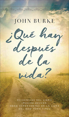 Picture of ¿qué Hay Después de la Vida?