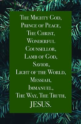 Picture of Jesus Bulletin (Pkg 100) Christmas