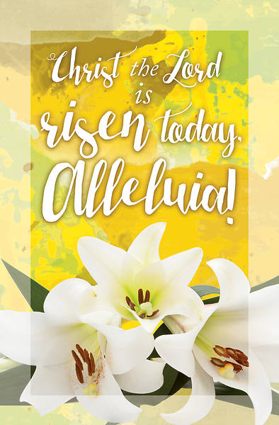 Picture of Christ the Lord is Risen Today Easter Bulletin (Pkg of 50)