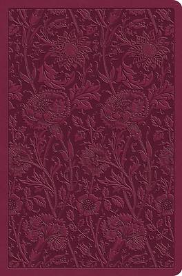 Picture of ESV Value Compact Bible (Trutone, Raspberry, Floral Design)