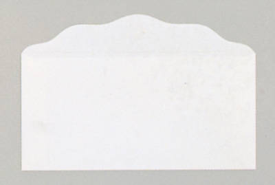 Bill Size Blank Offering Envelopes  - White