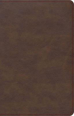 Picture of KJV Single-Column Compact Bible, Brown Leathertouch