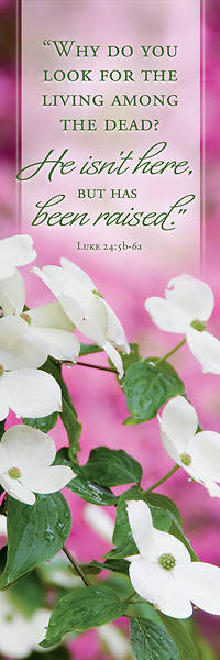 Picture of He Isn't Here Easter Bookmark (Pkg of 25)