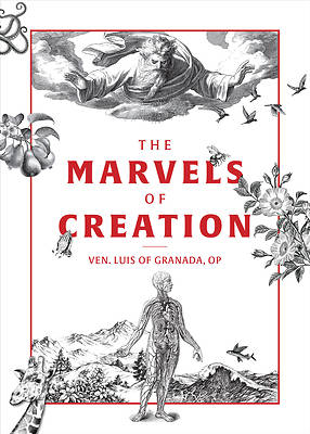 Picture of The Marvels of Creation