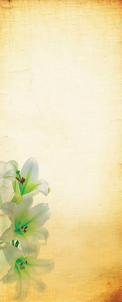 Picture of Alleluia Lily Easter Linen Series Pulpit Scarf