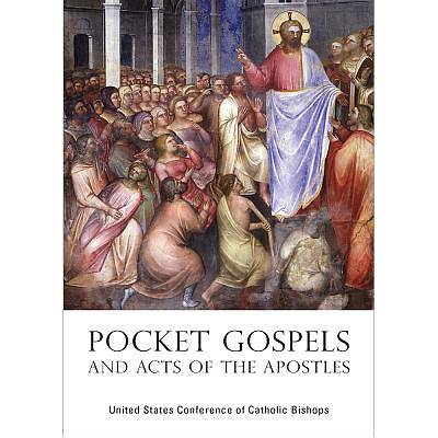 Picture of Pocket Gospels and Acts of the Apostles