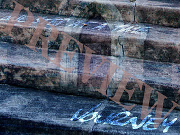 Picture of Download Still One Step At A Time Journey