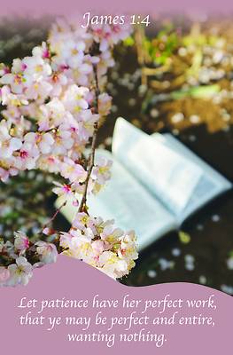 Picture of Strength Bulletin (Pkg 100) Legacy