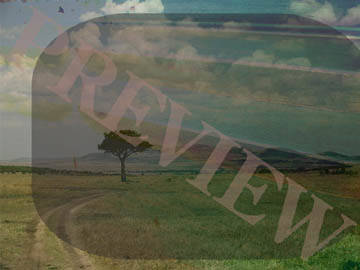 Picture of Download Still Path To Tree