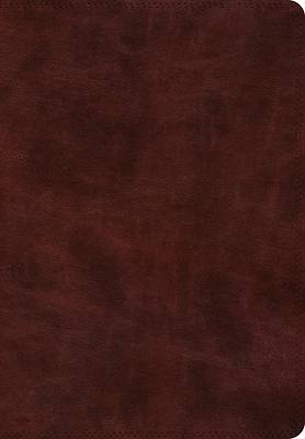 Picture of ESV Super Giant Print Bible (Trutone, Burgundy)