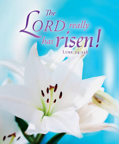 Picture of The Lord Really Has Risen! Easter Bulletin, Large (Pkg of 50)