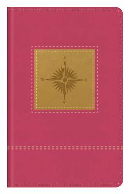 Picture of Go-Anywhere KJV Study Bible (Primrose Compass)