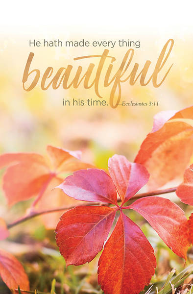 Picture of Beautiful General Regular Size Bulletin