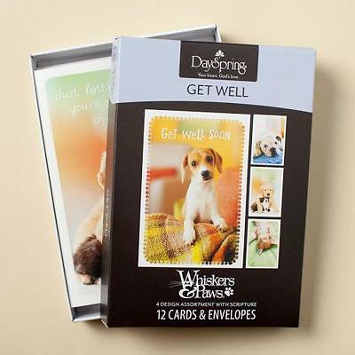Picture of Whiskers & Paws - Get Well Boxed Cards - Box of 12