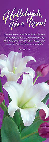 Picture of Hallelujah He is Risen! Easter 2' x 6' Fabric Banner