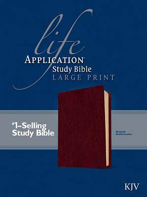 Picture of Life Application Study Bible
