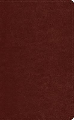 Picture of ESV Pocket Bible (Trutone, Chestnut)
