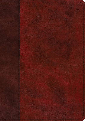 Picture of ESV Study Bible (Trutone, Burgundy/Red, Timeless Design, Indexed)