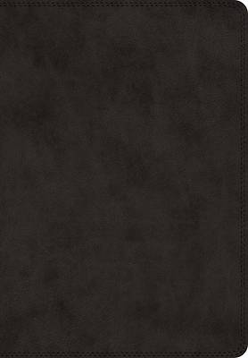 Picture of ESV Super Giant Print Bible (Trutone, Black)