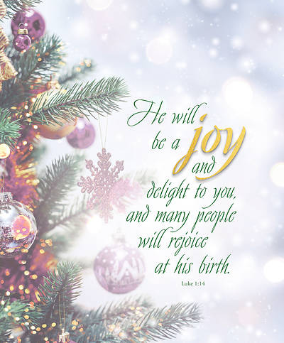 Picture of Joy Advent Christmas Tree Bulletin, Large (Pkg of 50)