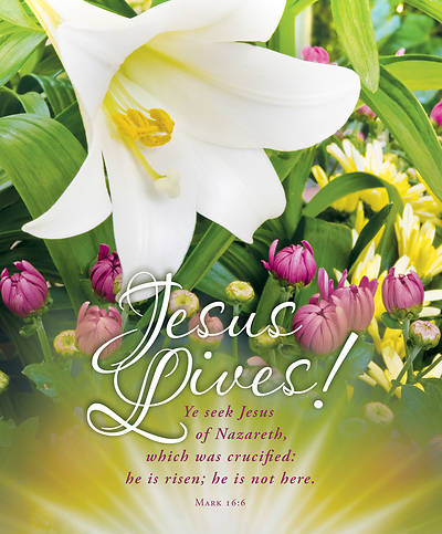 Picture of Jesus Lives Easter Legal Size Bulletin