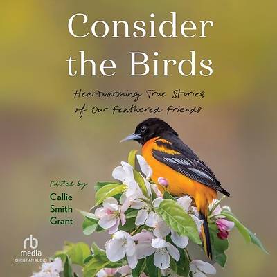 Picture of Consider the Birds