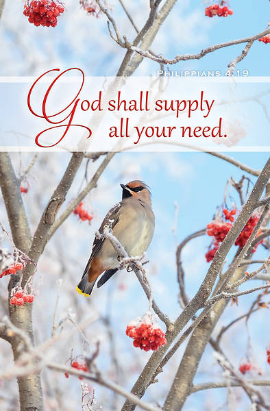 Bird in Berry Tree Bulletin Regular Philippians 4:19