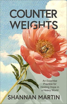 Picture of Counterweights