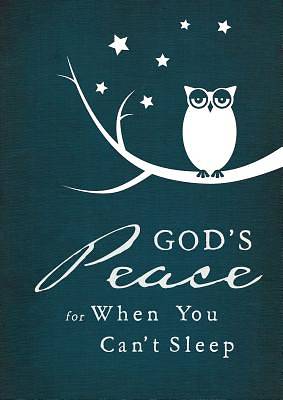 Picture of God's Peace When You Can't Sleep - eBook [ePub]