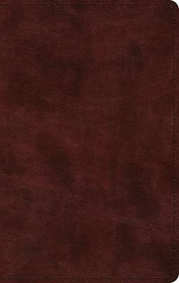 Picture of ESV Large Print Thinline Bible (Trutone, Mahogany)