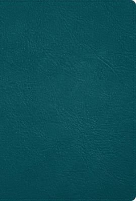 Picture of Rvr 1960 Biblia Deluxe Verde Turquesa, Piel Genuina