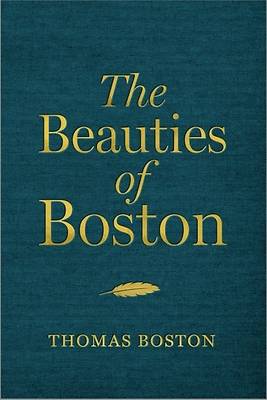Picture of The Beauties of Boston