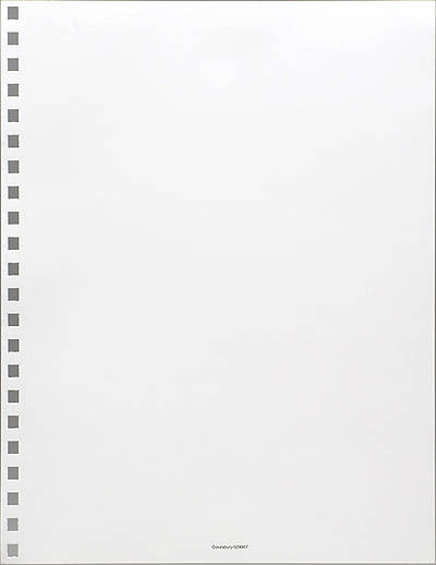 Picture of Filler Sheet No Heading Blank (Package of 10)