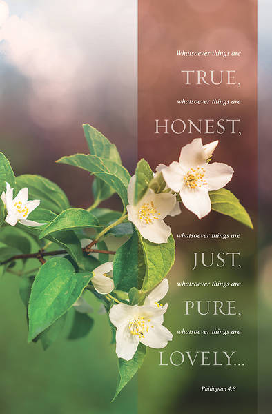Picture of True Honest Just General Regular Size Bulletin