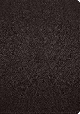 Picture of ESV Single Column Journaling Bible, Large Print (Buffalo Leather, Deep Brown)