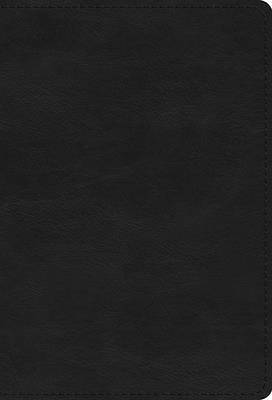 Picture of ESV Large Print Compact Bible, Red Letter (Trutone, Black)