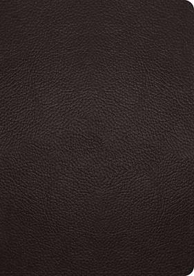 Picture of ESV Study Bible (Buffalo Leather, Deep Brown)