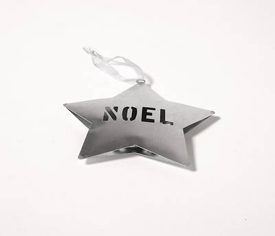 Picture of Noel Metal Star 4"