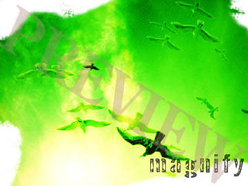 Picture of Download Still Magnify