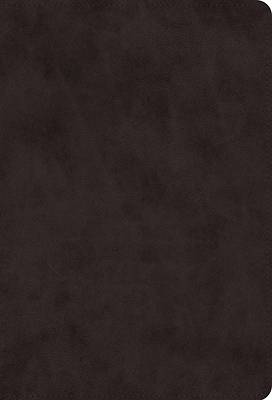 Picture of ESV Giant Print Value Thinline Bible (Trutone, Black)