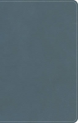 Picture of KJV On-The-Go Bible, Personal Size, Steel Blue Leathertouch