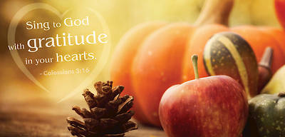 Picture of Gratitude Thanksgiving Offering Envelope (Pkg of 50)